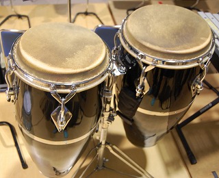 打楽器 パーカッション の種類とその特徴 Percussion Library